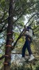 Thumbs/tn_2024-10-22 12 21 23.jpg